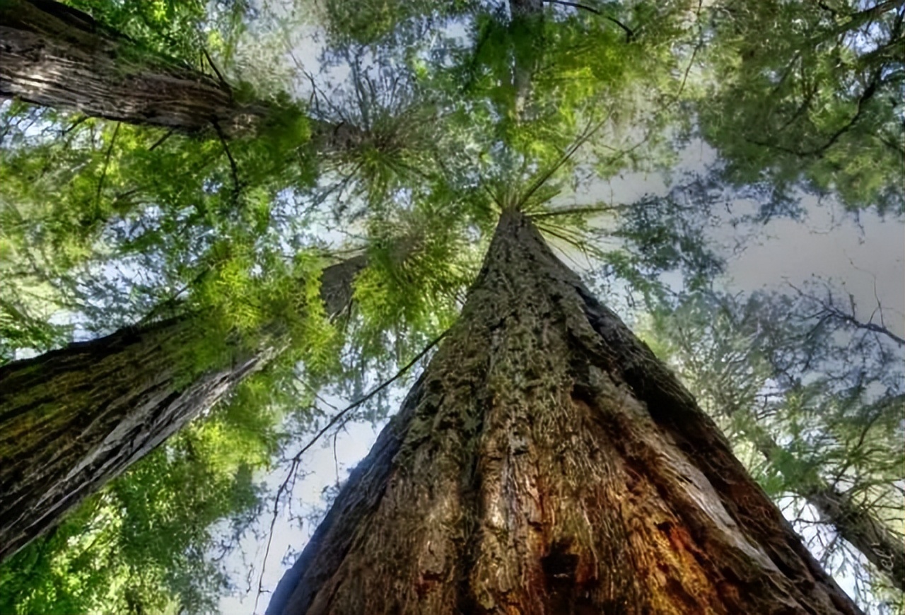 北仑疫情还回得了家吗,北仑疫情出不去了么