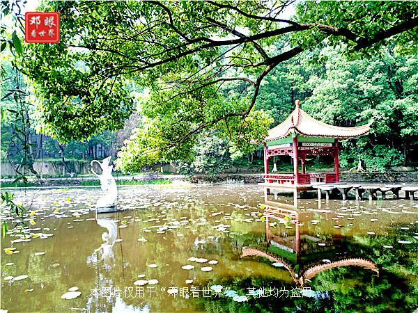 武汉大学跟湖北大学哪个更出名,武汉大学和华中科技大学环境不错