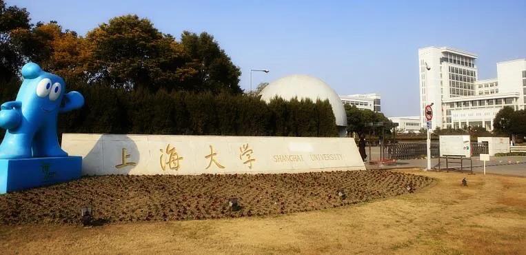 上海的大学有哪些是211或985大学,上海大学有几所属于211和985