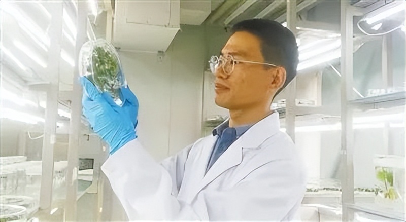 科研助理硕士就业前景,科研助理未来规划