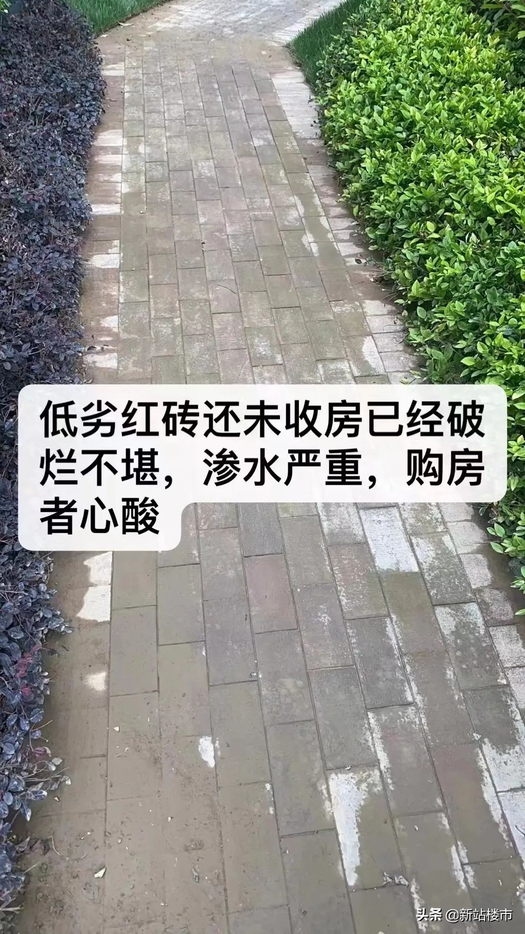 合肥保利楼盘未交付,合肥保利楼盘质量怎么样