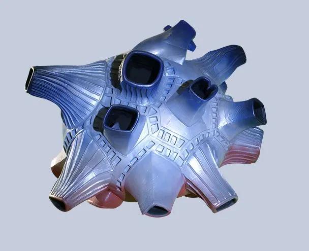 特利迦奥特曼被怪兽打,特利迦奥特曼中所有的怪兽