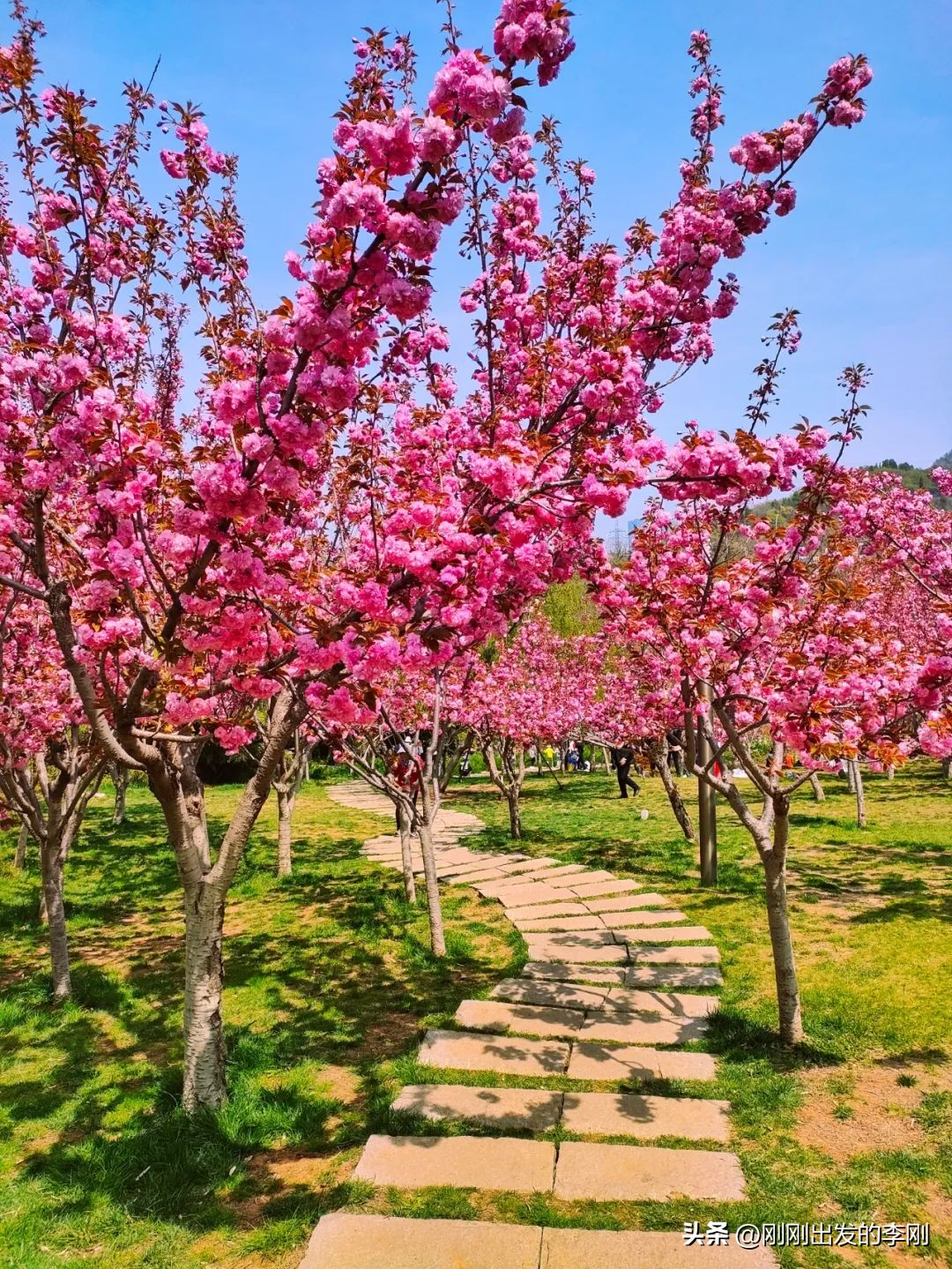 大连60岁以上老人免费景点,大连过年免费景点大全