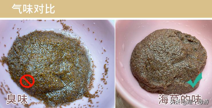 海藻面膜颗粒是海里生长的吗,海藻面膜是大海藻还是小海藻