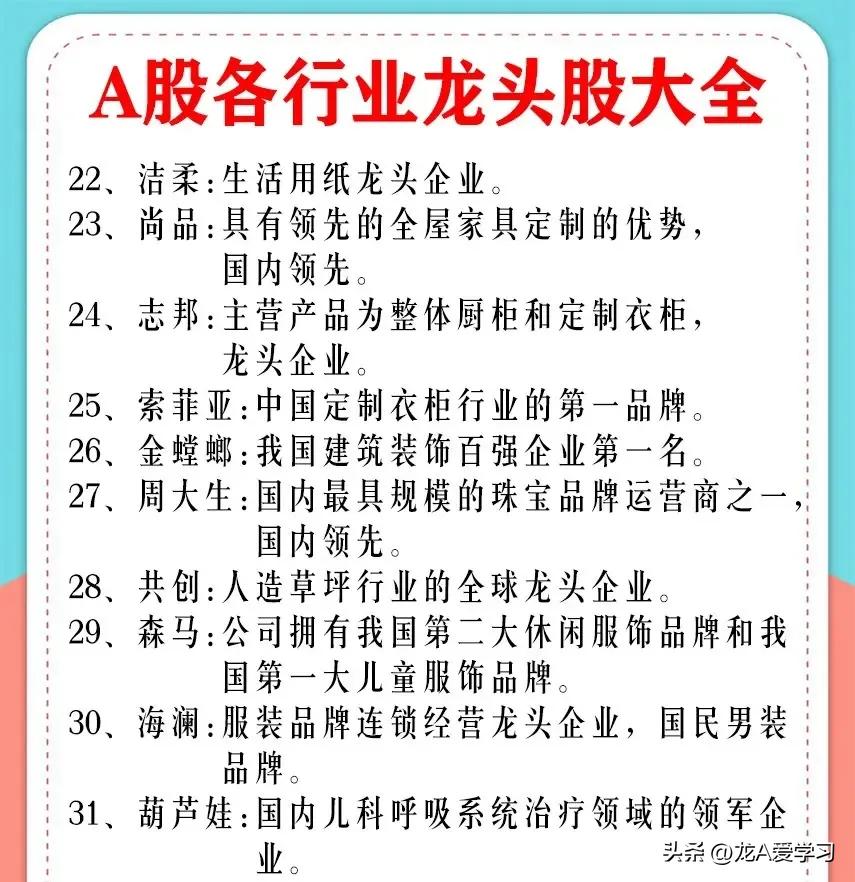 最有价值投资的蓝筹股,a股最具价值投资的行业龙头股