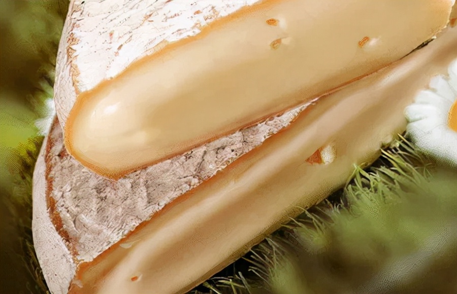 又咸又臭外面裹一层辣的奶酪,硬奶酪又臭又咸