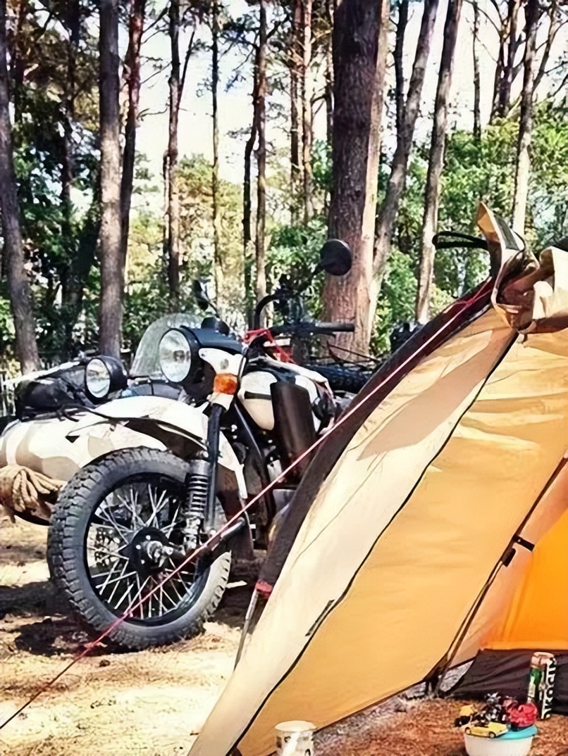 西安机动车数量2023,西安市机动车保有量已突破520万辆