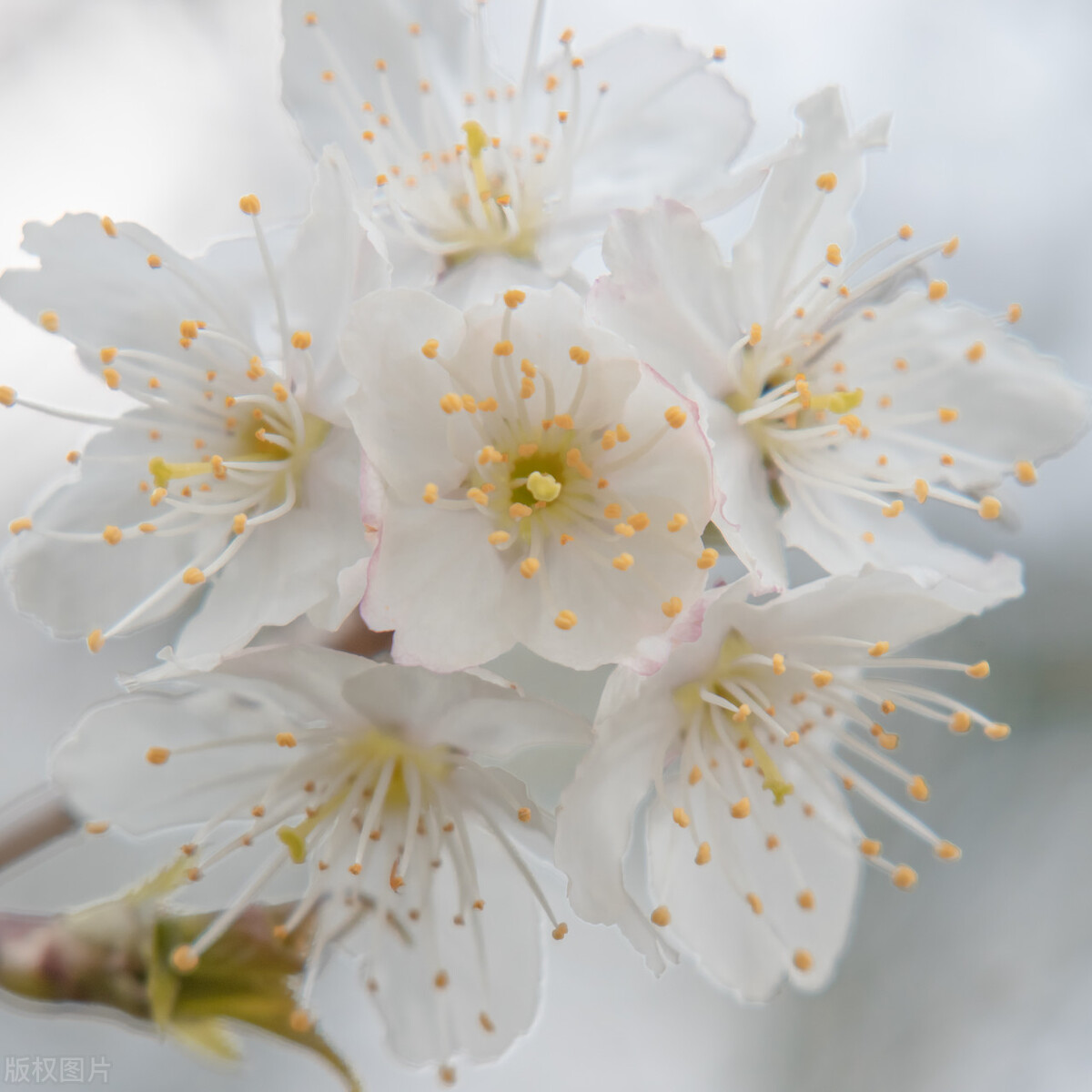 有一种累叫想太多图片,想太多会累的句子