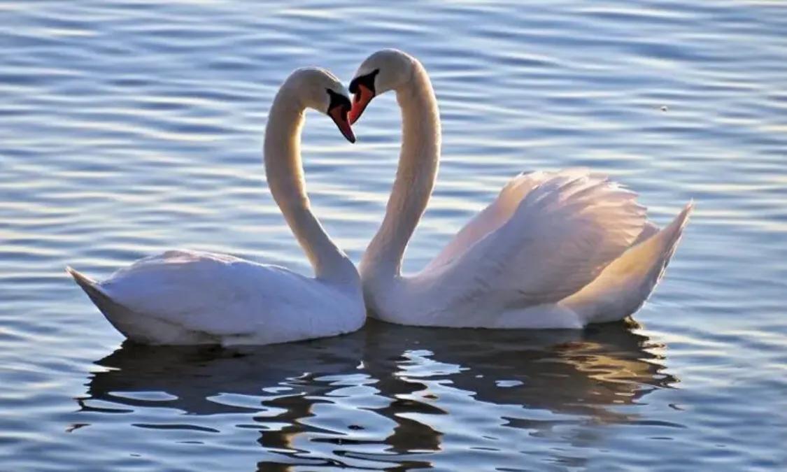 人情世故中的一段话,人情世故一点就通吗