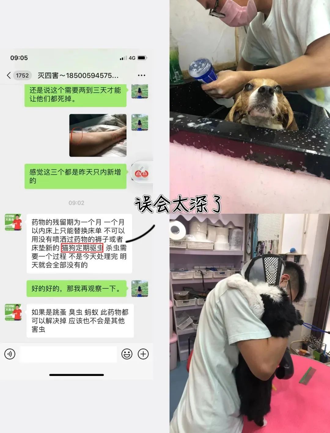 去公园可怕的虫子,去公园如何避免蚊虫叮咬