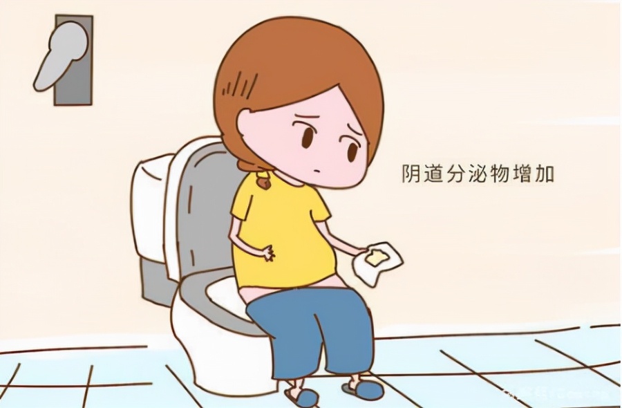 女性经常有白带是什么原因引起的,女性白带增多像水一样