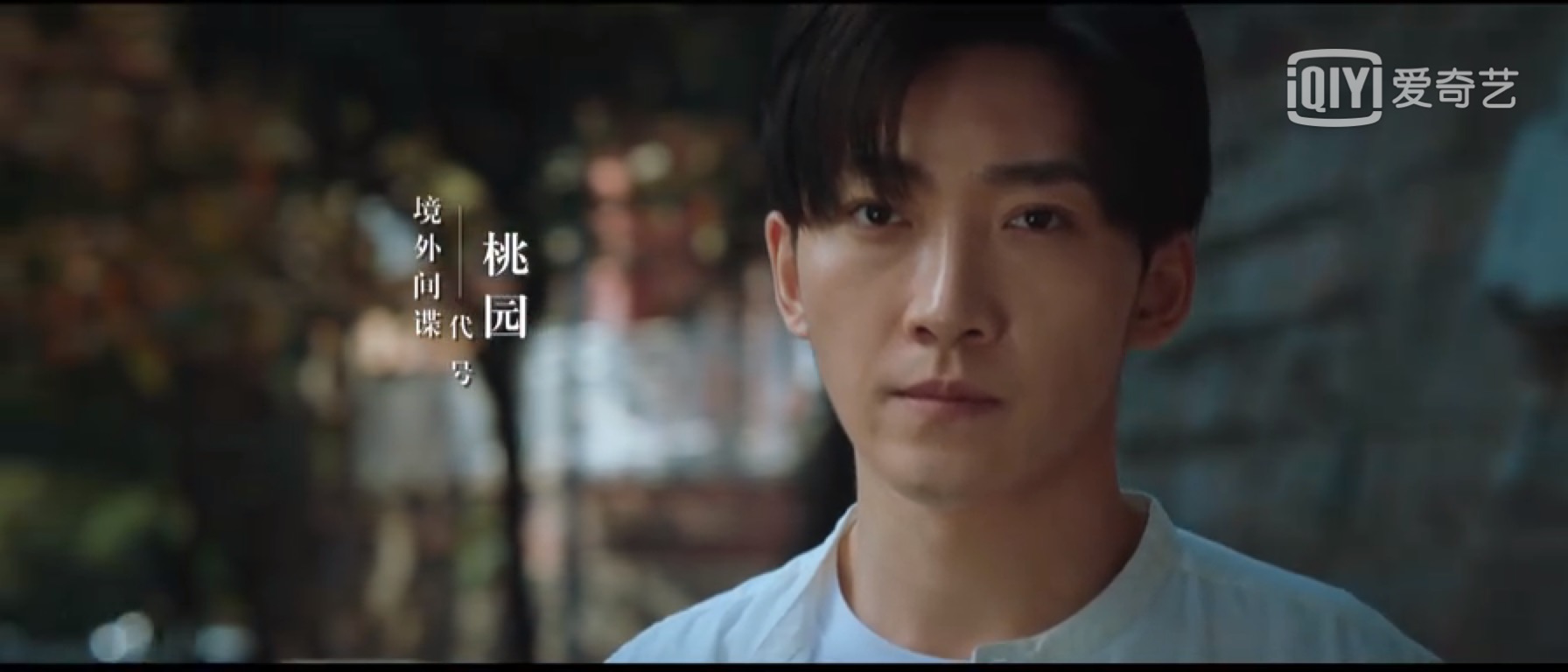 独特的视角全集,独到的视角解析