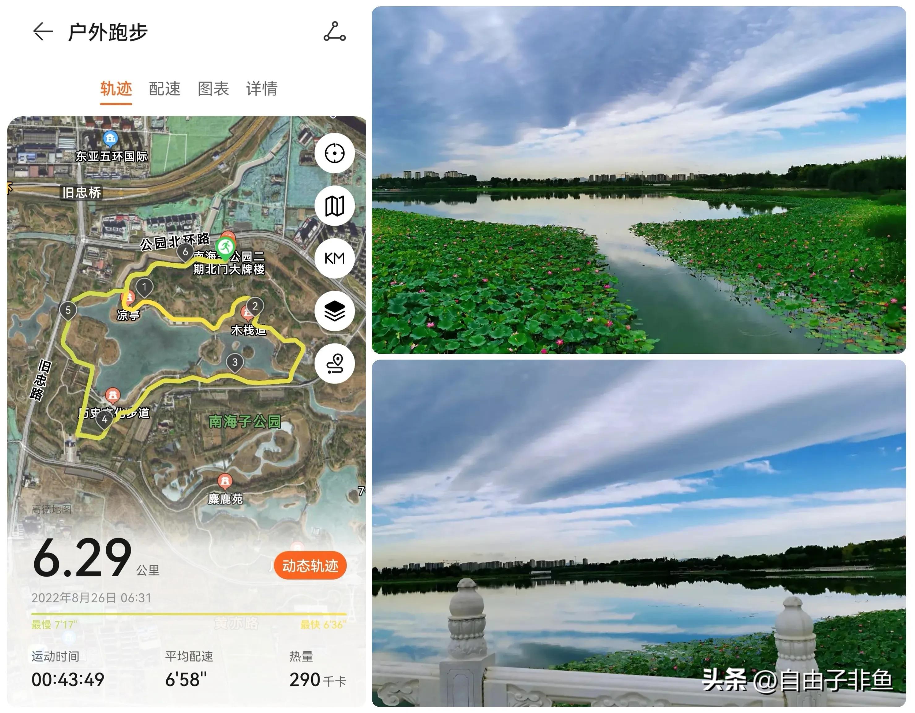 北京植物园跑步路线,北京适合跑步的地方