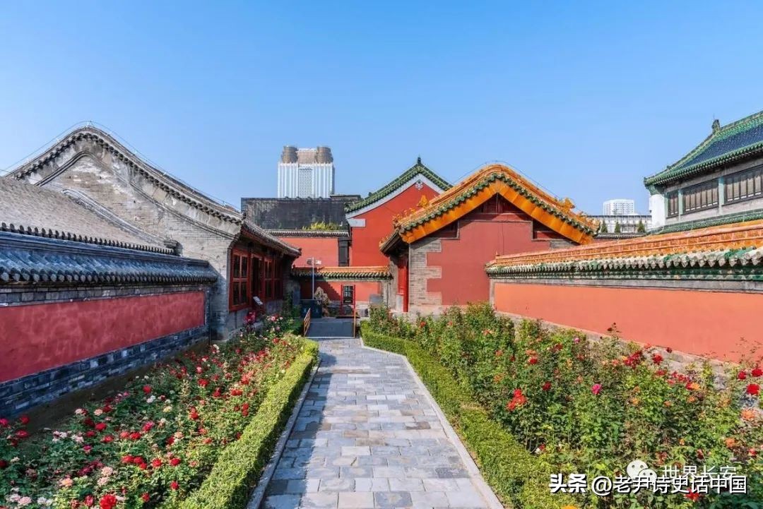 讲清朝十二帝真实的历史,清朝十二帝历史讲解详细