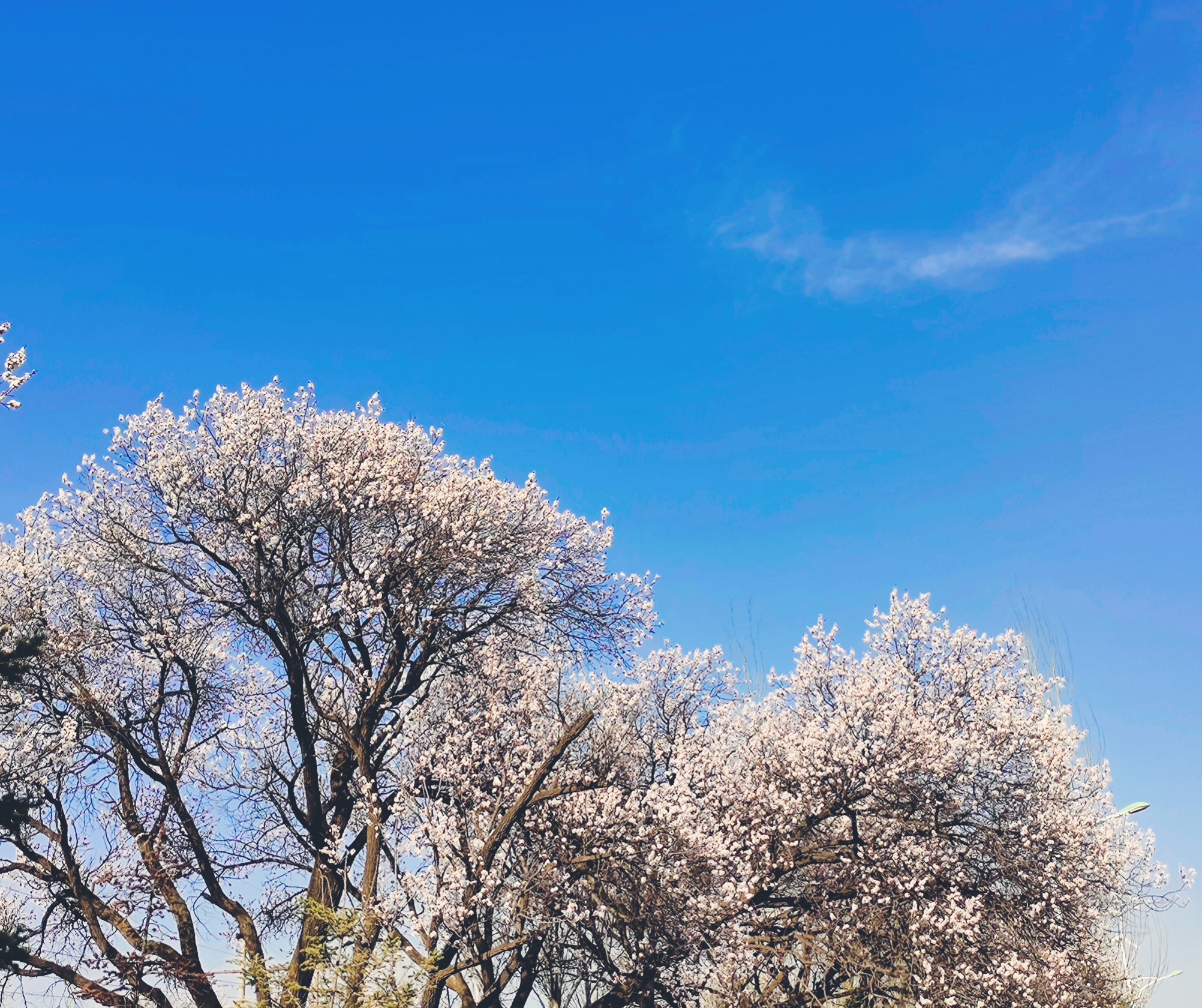 娓呮祬鏃跺厜闈欎韩娓呮,鏃跺厜娓呮祬浜洪棿娓呮
