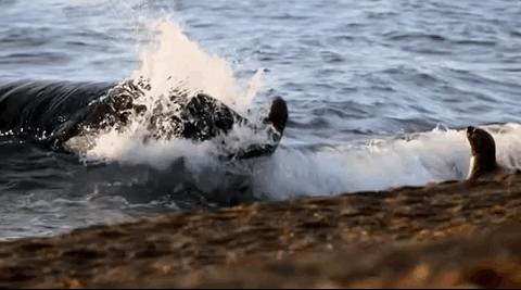 豆瓣排名第五摄人心魄的好片,豆瓣8.6分今年看过最良心的电影