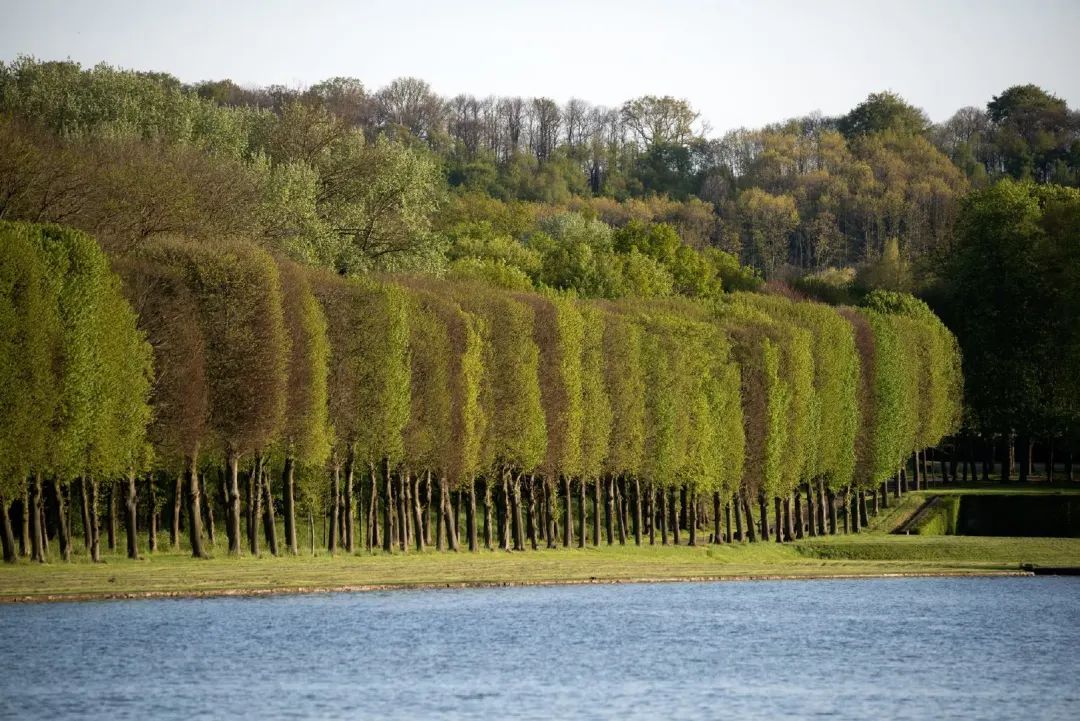 最美的十座园林,中国十大最美园林之留园