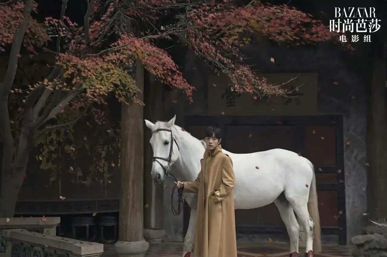 时尚芭莎肖战和谁拍过,时尚芭莎肖战年度盛典照片