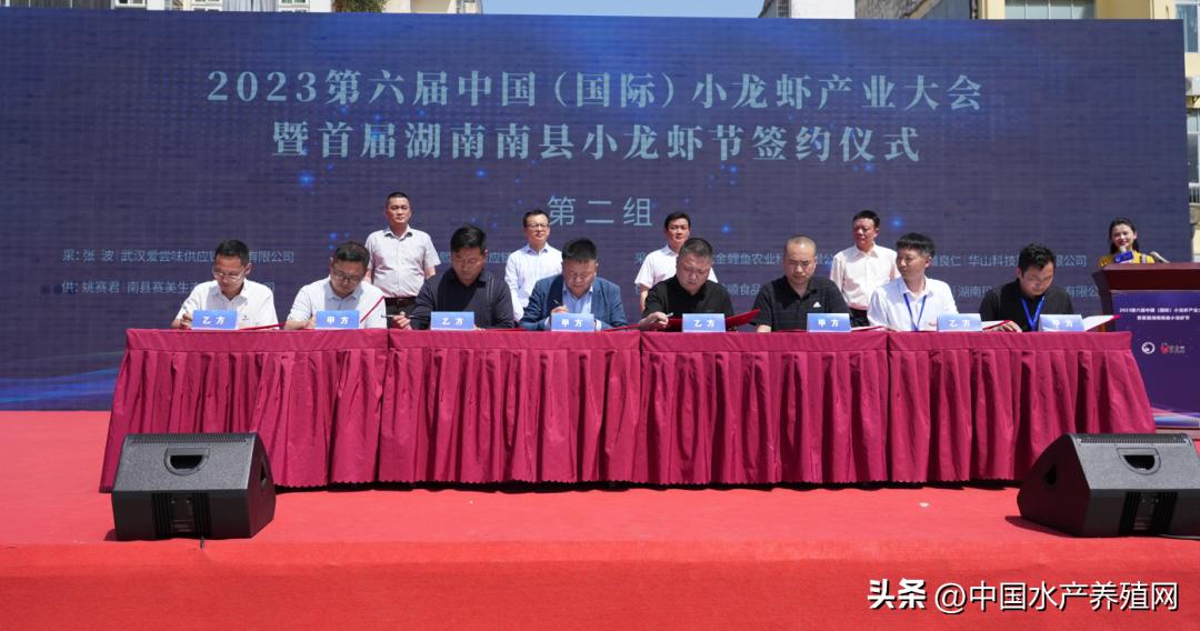 2023年南县小龙虾价格行情,南县小龙虾价格报价