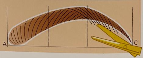 如何修眉型女生,如何修眉毛