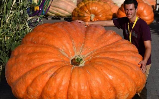 100个难得一见的照片,106个难得一见的照片