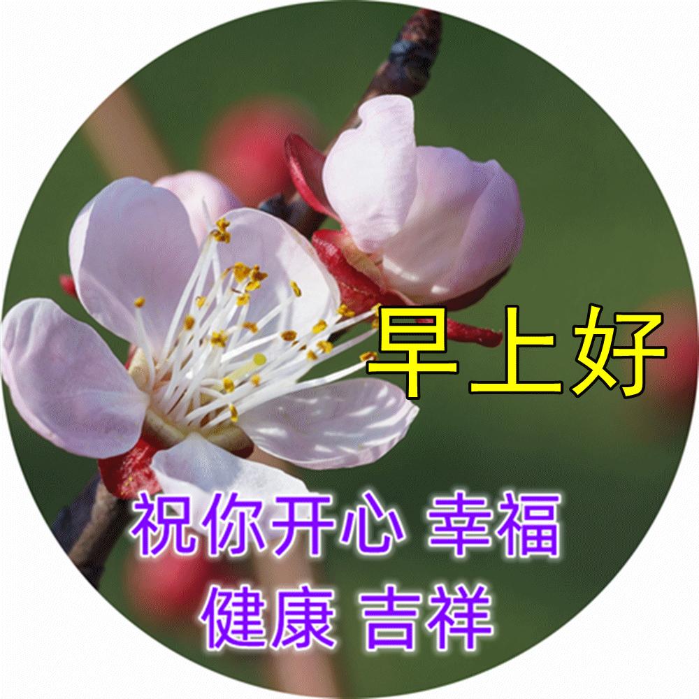 早安微笑语录经典句子,2020年经典早安心语语录锦集80条