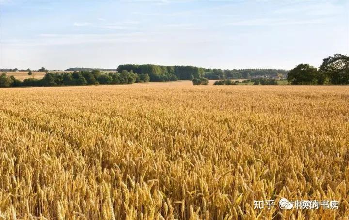 黄河为什么不连接长江,长江黄河是不是流经大半个中国