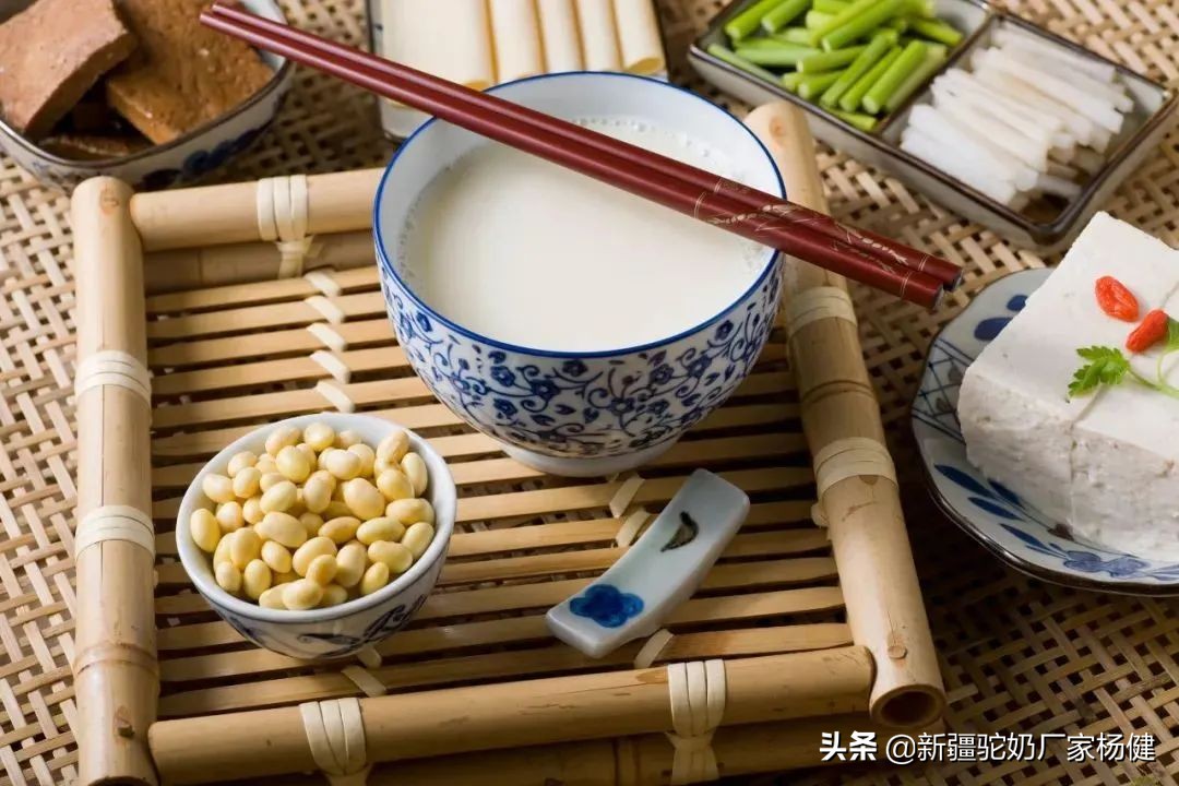 骆驼奶粉每天怎样吃最好,骆驼奶粉的好处你知道多少