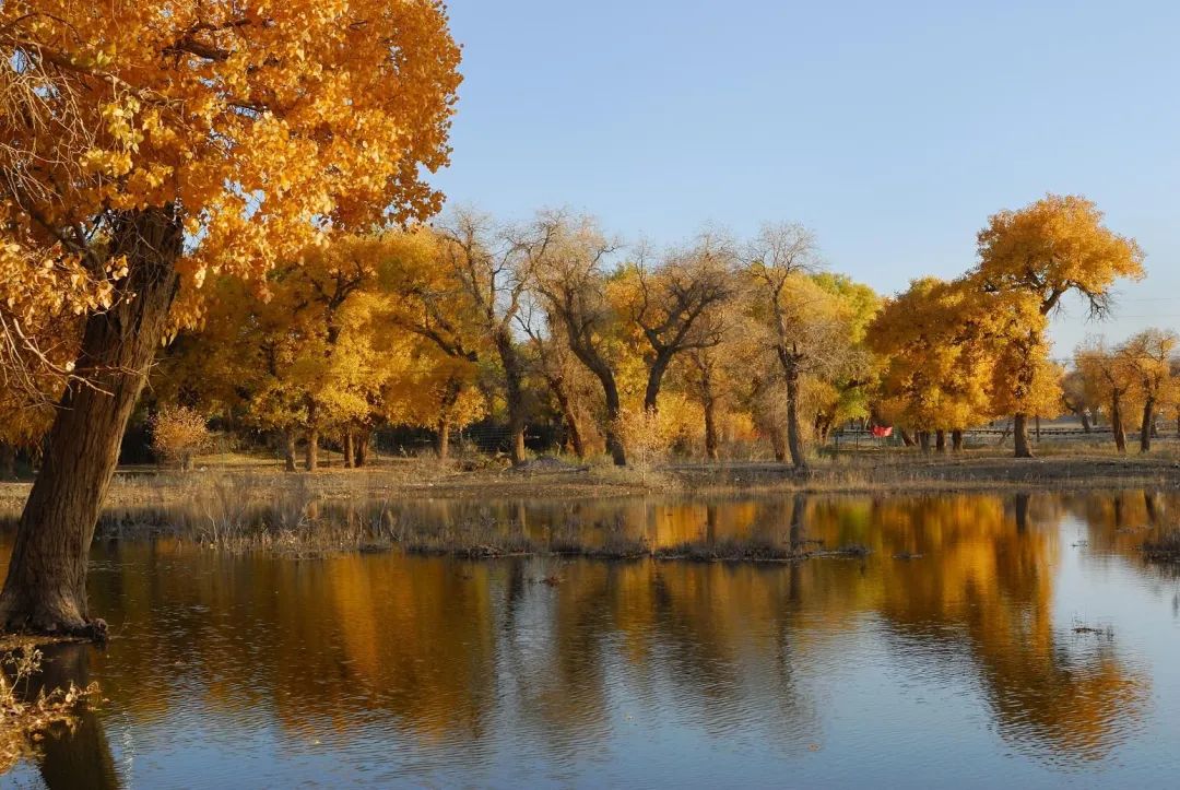 7-8月适合旅游的最佳地方最新,9月旅行地推荐国内最美的10个地方