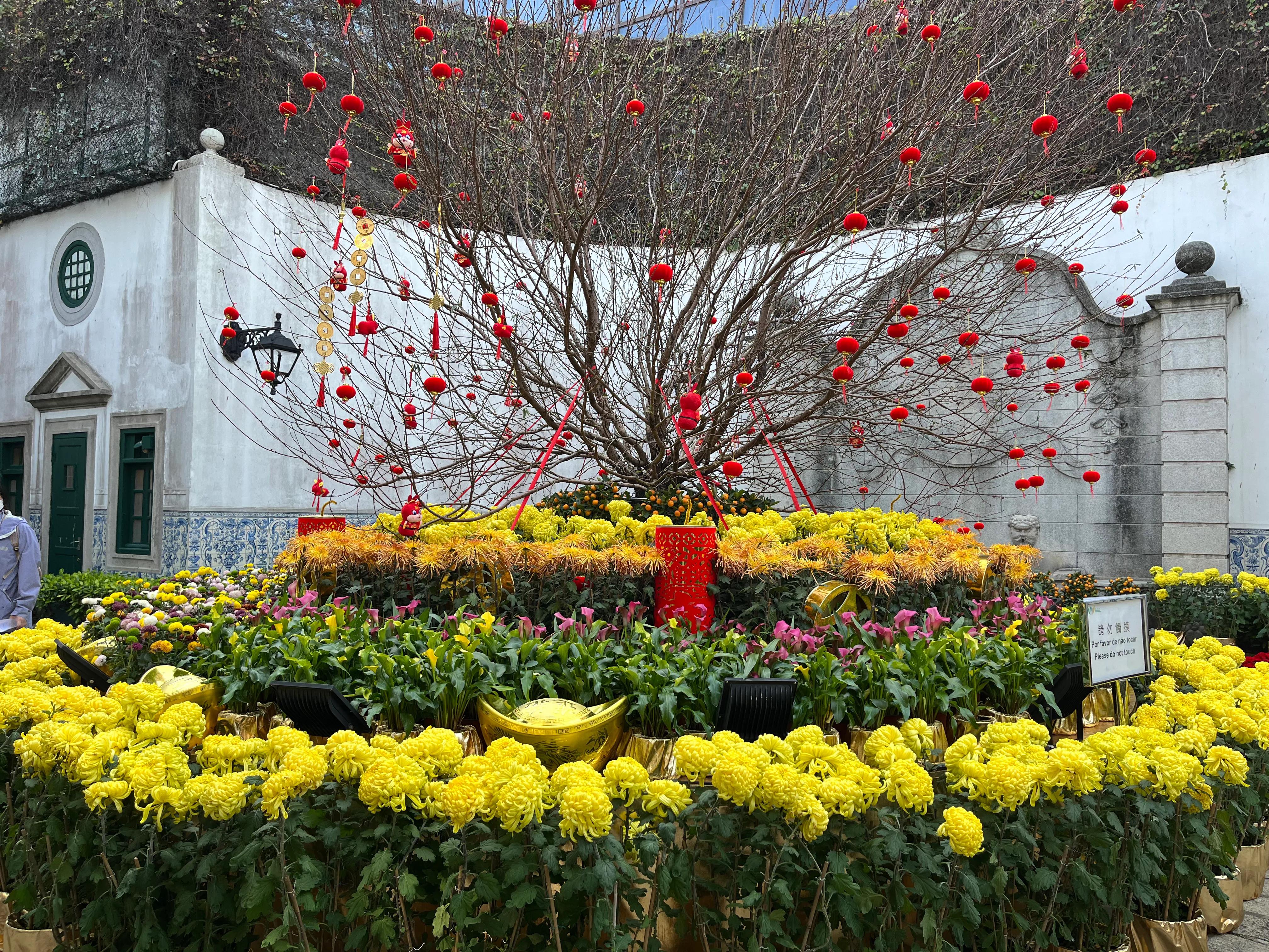 澳门一日游必备的攻略,澳门游攻略四天