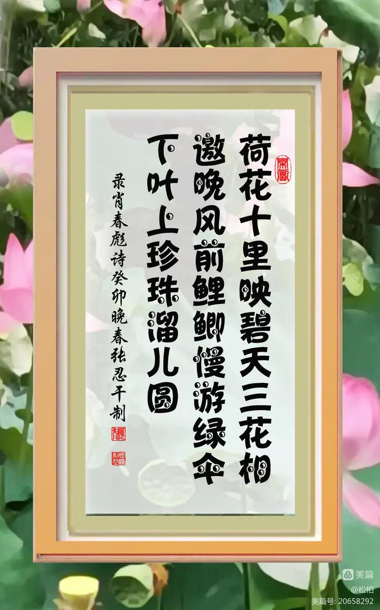 诗图战友情（九十五）荷花别样红