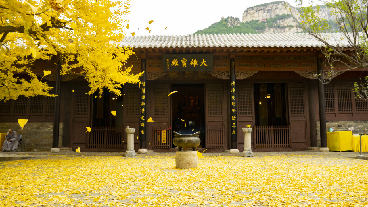 济南赏秋,秋天济南去哪里赏秋最好