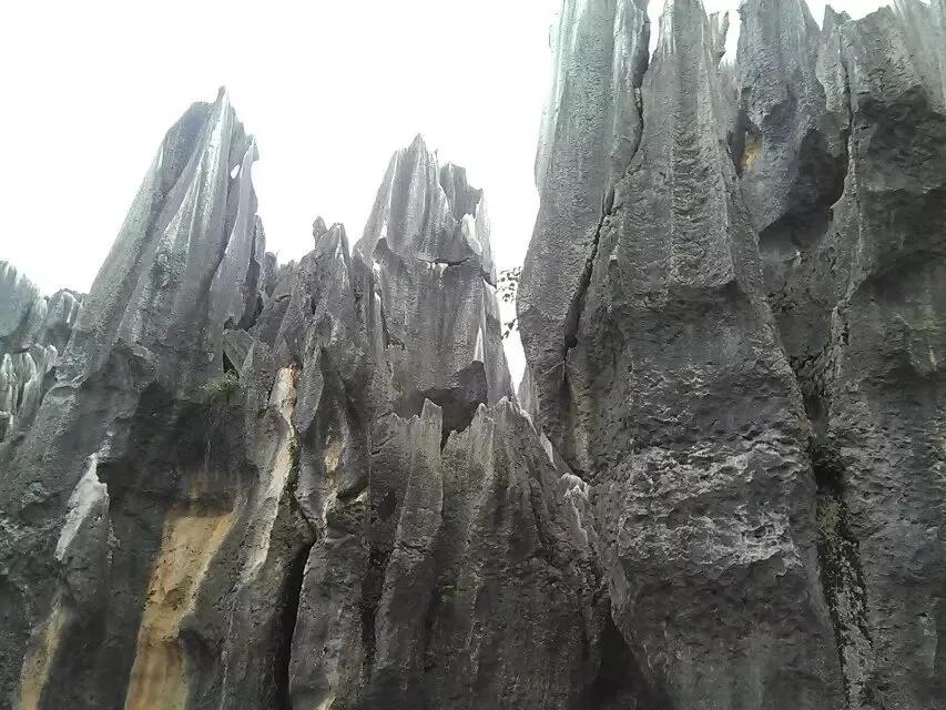 5a级喀斯特奇观石林风景区,世界最大石林地质奇观是什么