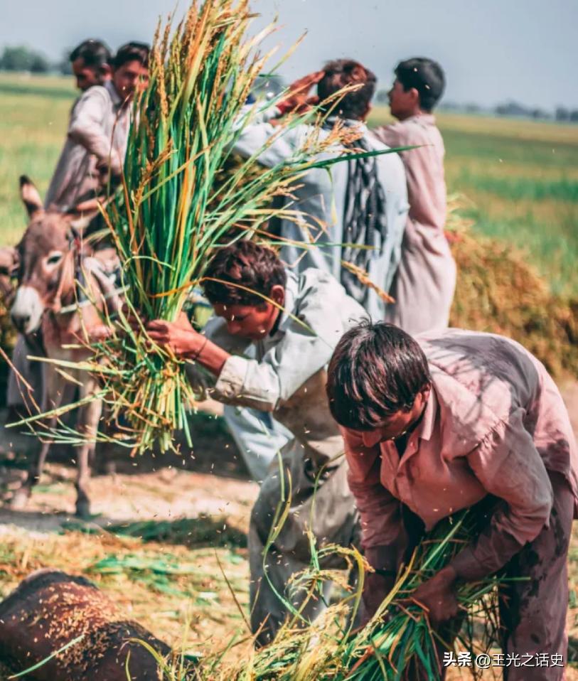 中国和巴基斯坦怎么成为巴铁的,为什么中国和巴基斯坦称为巴铁