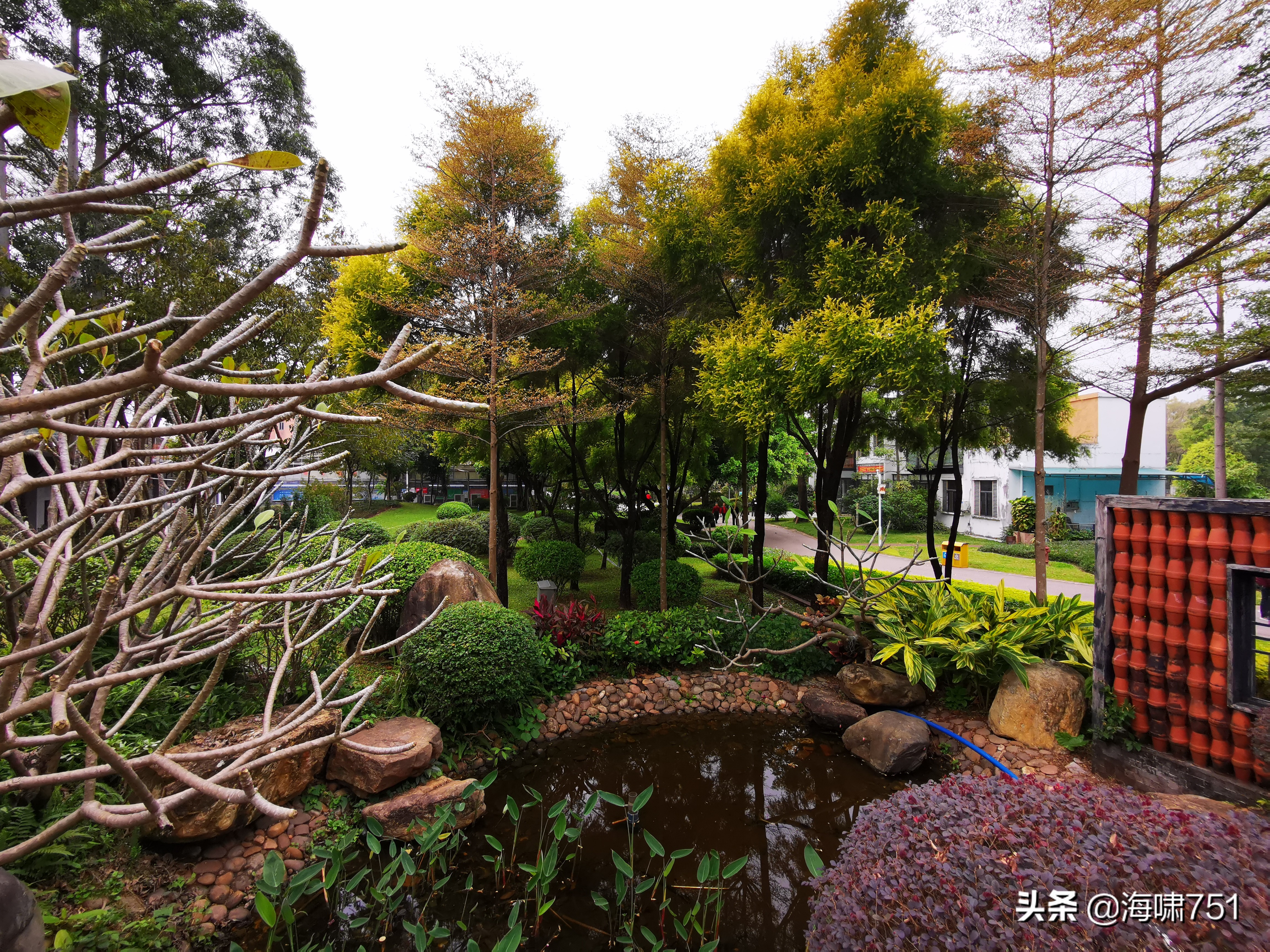 陈田花园全景图,陈田花园照片