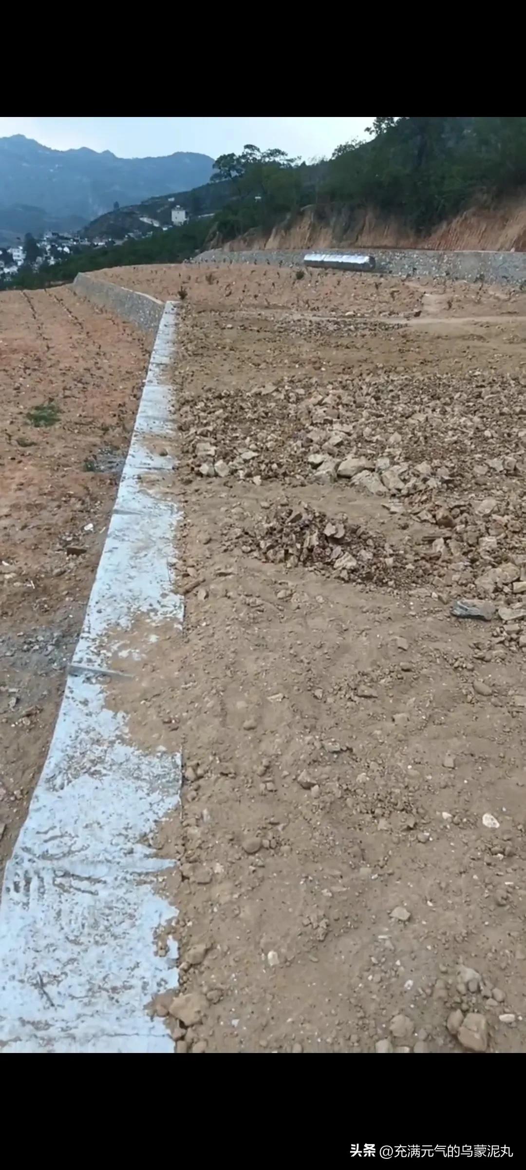 山村轶事：口号，现实反讽，“对唱山歌”与一对饥渴的野鸳鸯