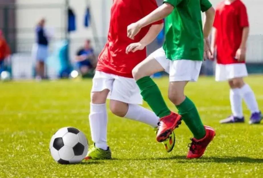 文体活动风险承担民法典,法律科普故意伤害罪