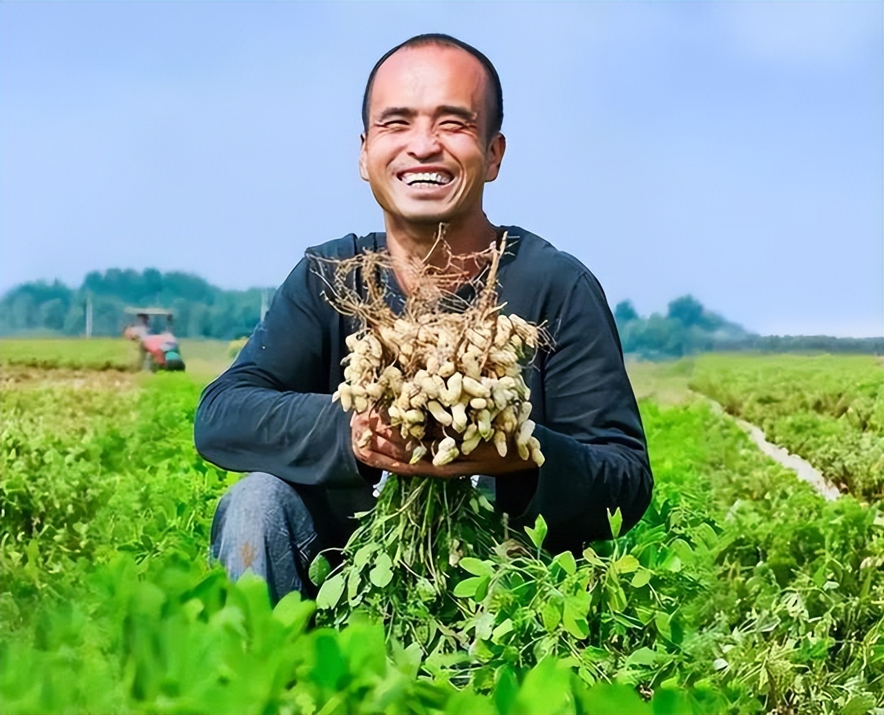 农民丰收节,玉田农民丰收节