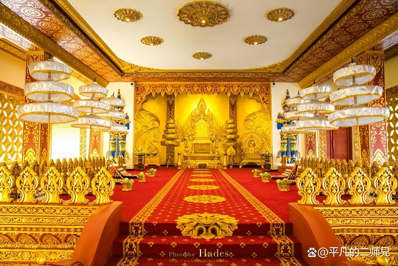 小众旅游景点西双版纳动物园,西双版纳动物多的景点