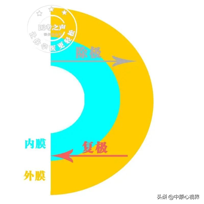 护考几种常见的心电图,常见的心电图图形分析