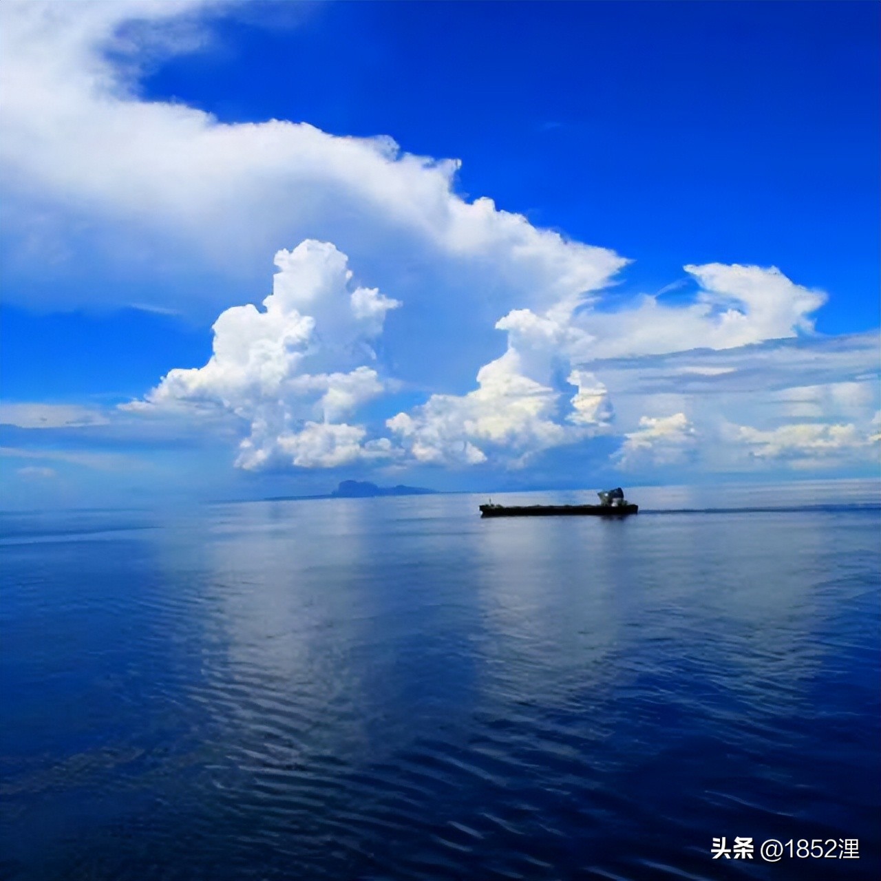 上半身伏下屁股翘高，扒下裤头，一根兽医针咔咔地戳进椎骨里面！