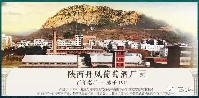 陕西丹凤葡萄酒品牌概念,陕西丹凤葡萄酒厂西安销售点