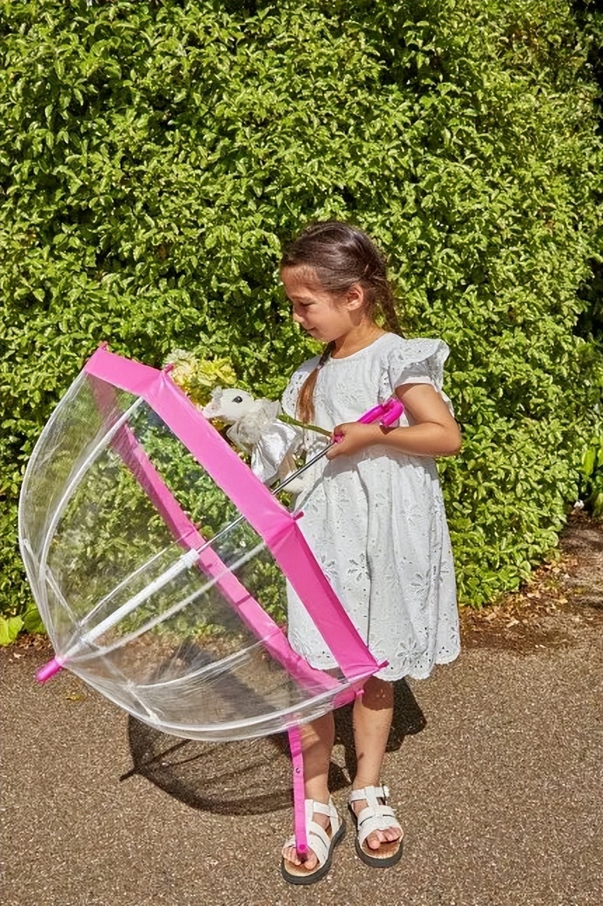 1万块钱可以买小雨伞吗,1万元以下雨伞