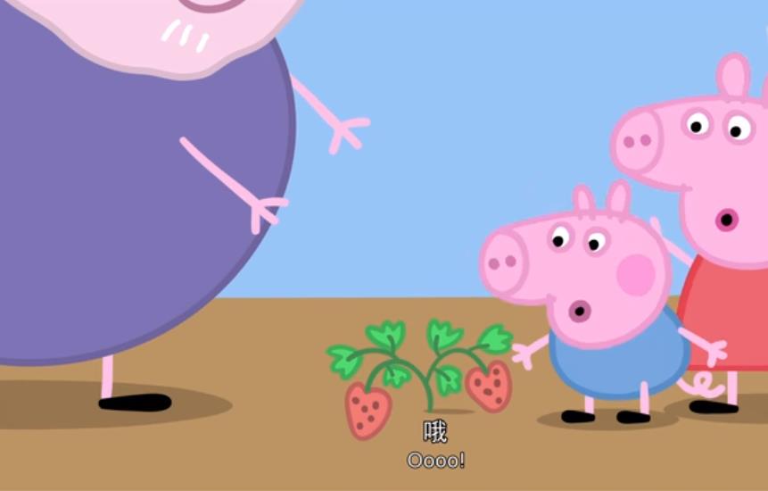 跟小猪佩奇学字母,小猪佩奇花园种菜英语
