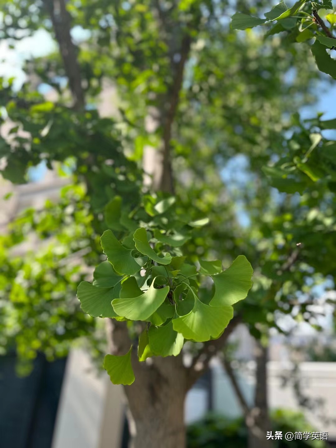 百家号的专栏收益在哪看,百家号一月收入2万