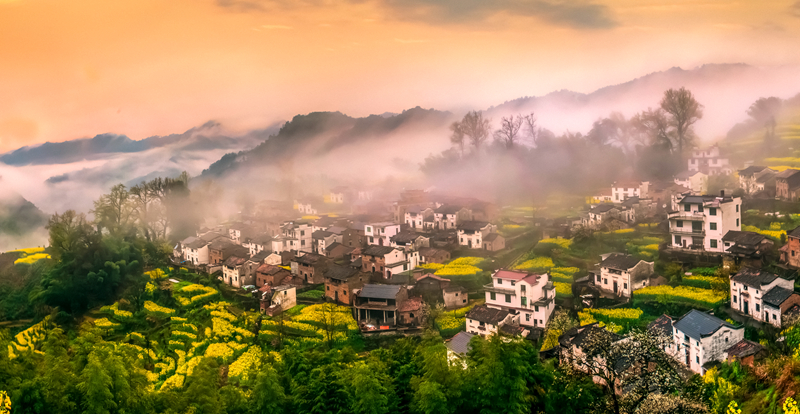 春色满园风景摄影,婺源摄影写真