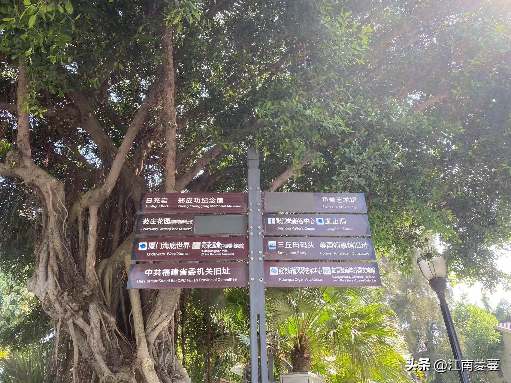 浙江海岛和厦门哪里值得去,为什么那么多人选择去厦门旅游