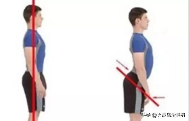 卷尾骨就是收紧腹部吗,卷尾骨夹臀吗