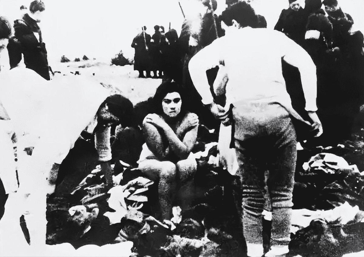 日军在湖南省武冈的暴行,日军进村抢掠案