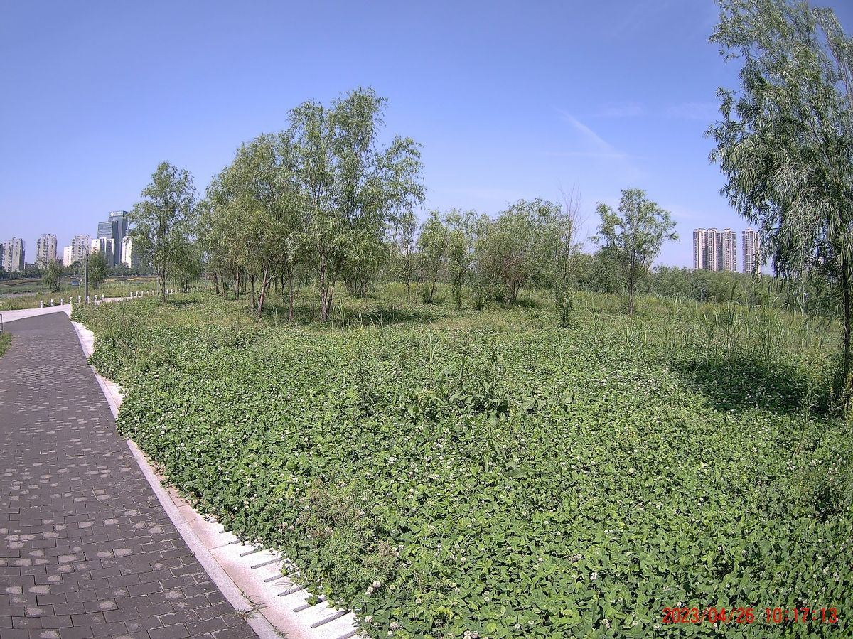 运动相机配件推荐,2023运动相机最值得买哪一款